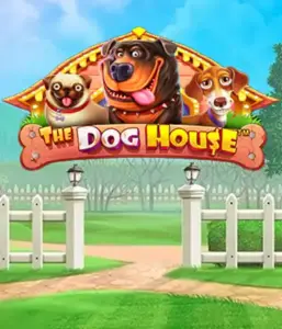 From Pragmatic Play comes The Dog House, featuring an adorable adventure into the world of playful pups. Enjoy features such as multipliers, perfect for providing exciting wins. Ideal for animal enthusiasts an amusing atmosphere with a chance for big wins.