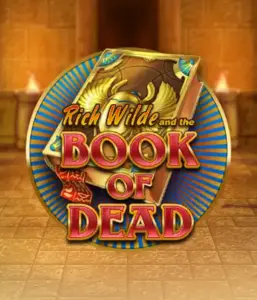 Dive into the thrilling world of Book of Dead Slot by Play'n GO, presenting vivid graphics of Rich Wilde's journey through ancient Egyptian tombs and artifacts. Uncover lost riches with engaging mechanics like free spins, expanding symbols, and a gamble option. Ideal for those seeking adventure with a desire for thrilling discoveries.